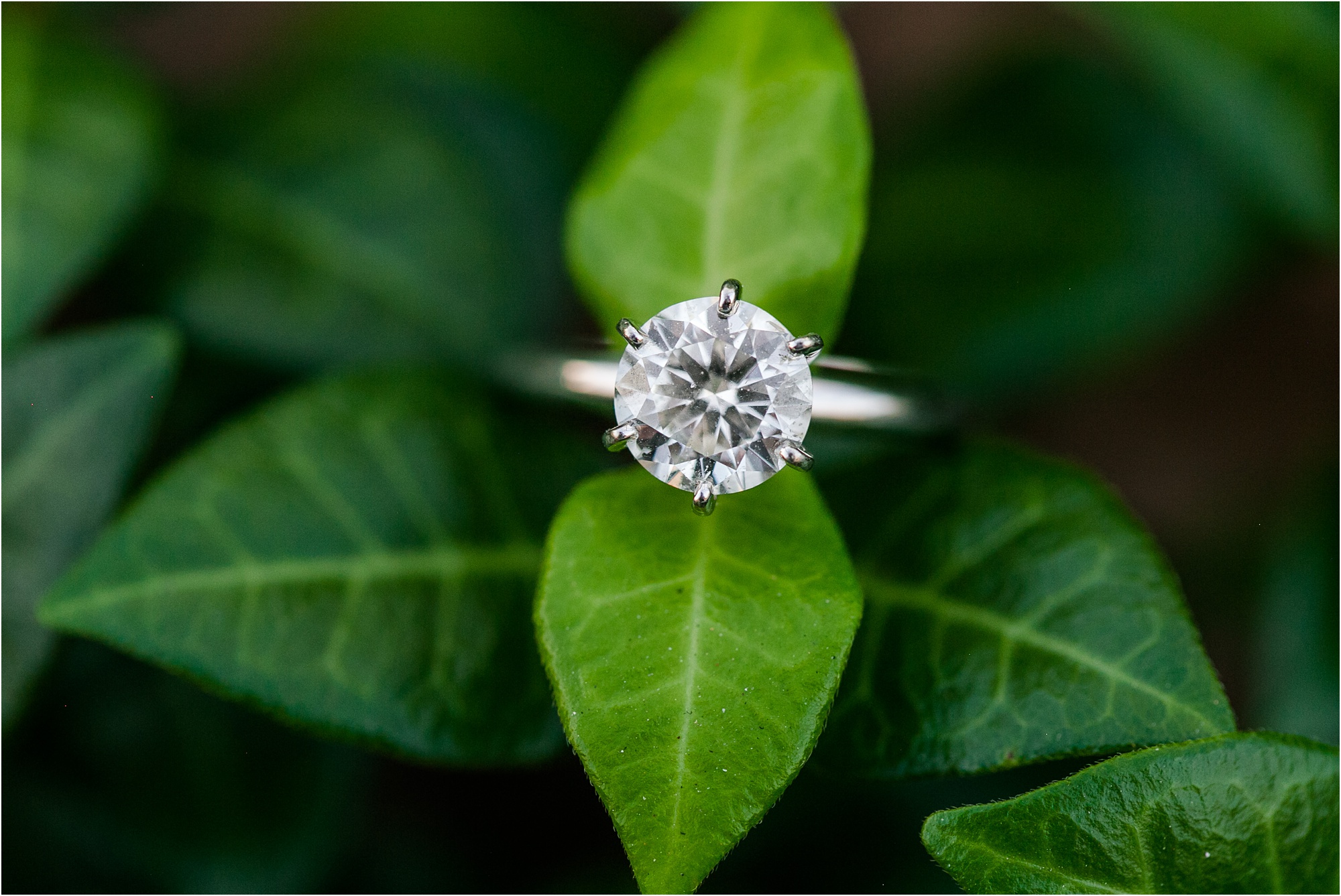 macon ga round cut engagement ring on leaves